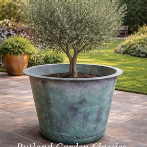 May include: A large, verdigris-effect planter pot with an olive tree. The pot has a wide rim and riveted details. The tree has a full, green canopy. The text "Rutland Garden Classics" is at the bottom.