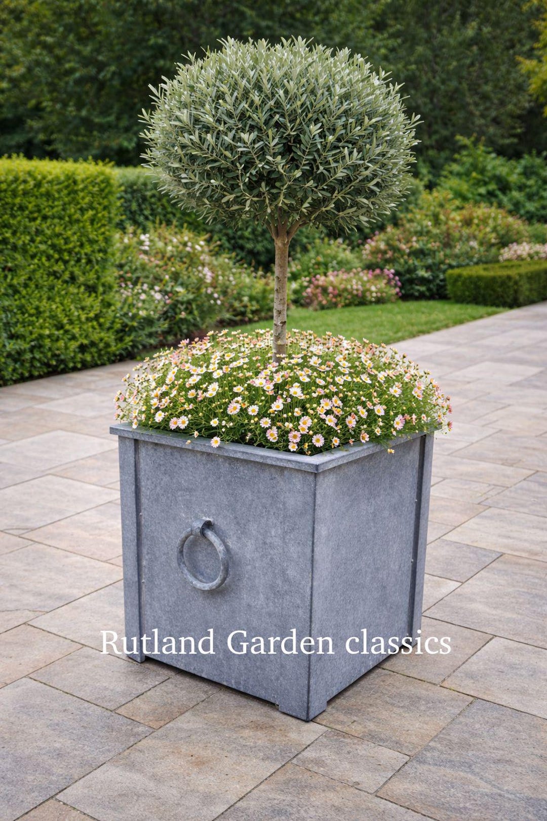 Galvanised Metal Planter 56 Cm Sq With Two Ring Handles - Etsy