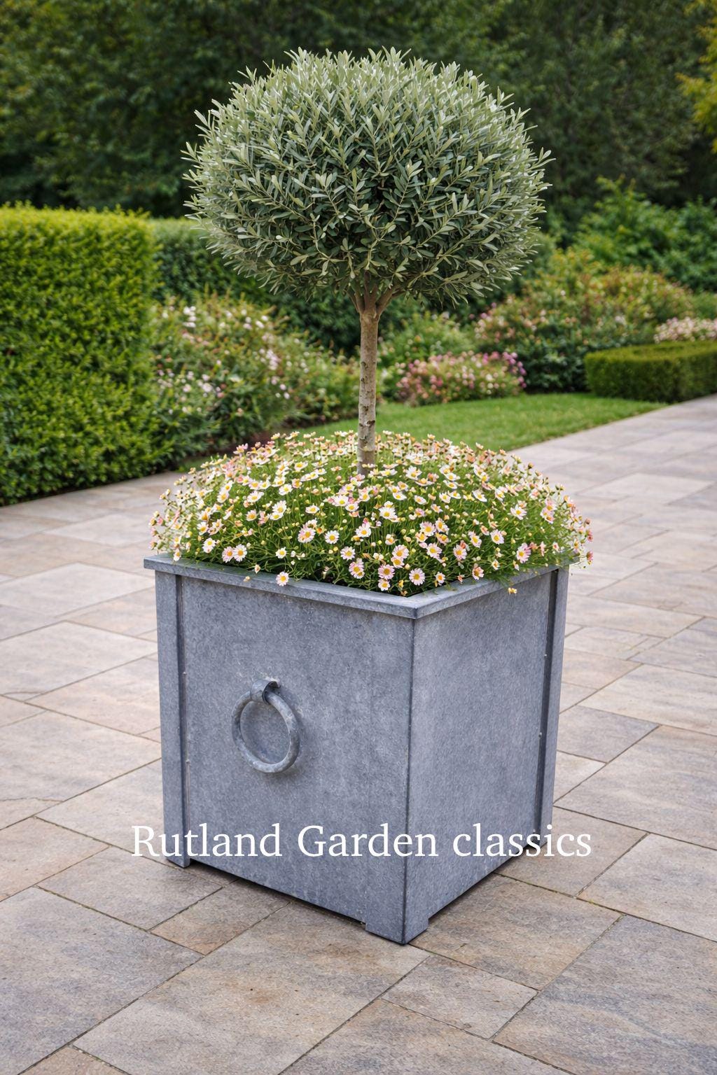 Galvanised Metal Planter 56 Cm Sq With Two Ring Handles - Etsy