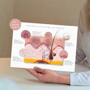 Huid Anatomy、皮膚の解剖学、皮膚のグラフィック、解剖学ポスター、皮膚の指示カード、メディッシュの学生ギフト、皮膚科、Huidtherapeut