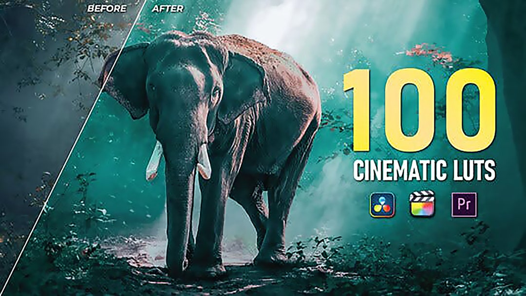 100 Cinematic Luts Color Grading final Cut Pro,premiere Pro, Davinci