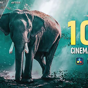 Könnte beinhalten: Ein Elefant steht in einer üppigen, grünen Waldlandschaft. Das Bild ist geteilt, mit "VORHER" links und "NACHHER" rechts. Der Text lautet "100 CINEMATIC LUTS" mit Software-Symbolen darunter.