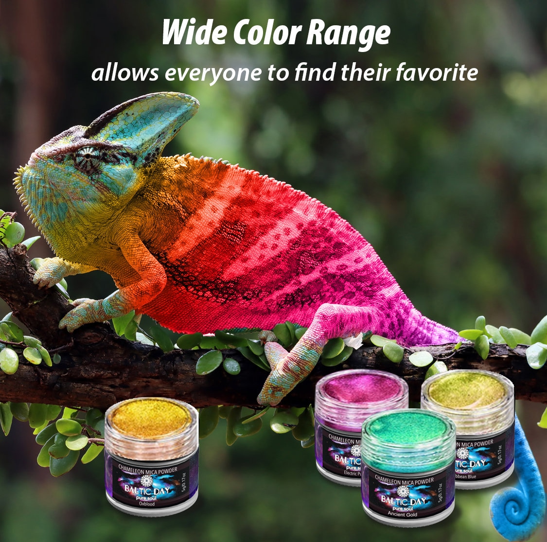 Baltic Day Color Shifting Chameleon Pigments Color Shift Mica Powder Set 12  Pigment Color Jars for Epoxy Resin, Paint, Nail Polish 