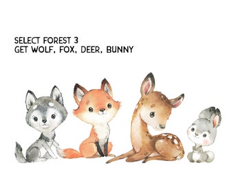 Peel & Stick Woodland Watercolor Animals Wall Decals Baby Gender Neutral Bedroom Nursery Décor Vinyl and Fabric Decals