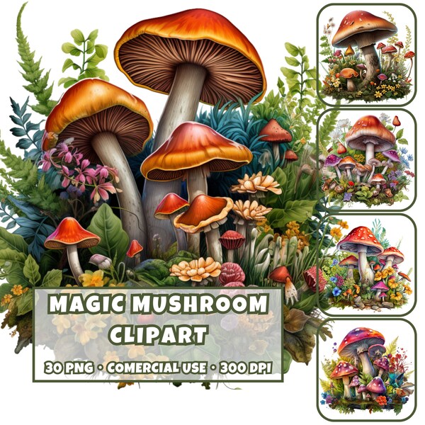 Clipart Magic Mushroom Graphic Design Templates Forest Flowers Wild Flower Graphics Red and White Fairy Tale Mushroom PNG Transparent