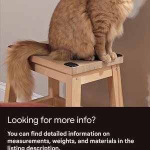 May include: A fluffy, orange tabby cat sits atop a small, light-colored wooden stool. The cat has long fur and a bushy tail. The stool has a simple design. The image also contains the text "Looking for more info?" and other details.