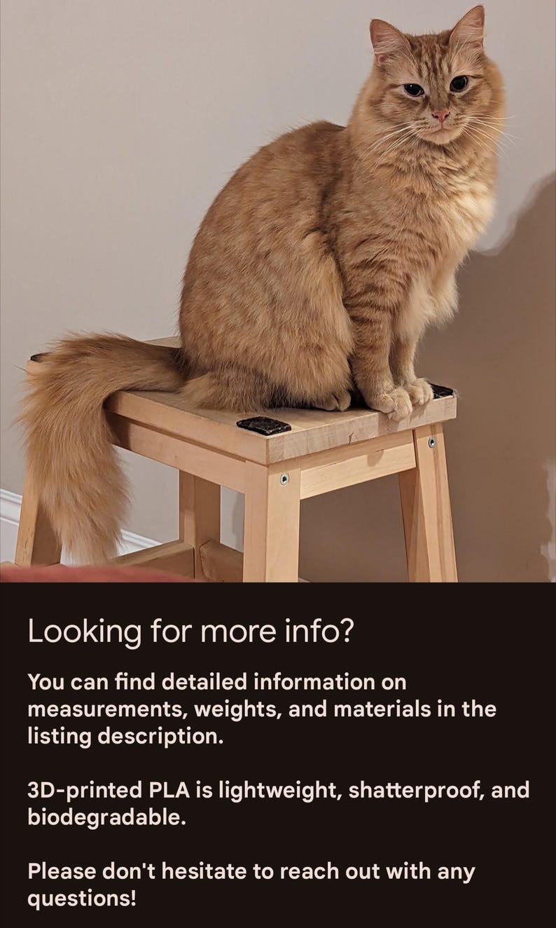 May include: A fluffy, orange tabby cat sits atop a small, light-colored wooden stool. The cat has long fur and a bushy tail. The stool has a simple design. The image also contains the text "Looking for more info?" and other details.