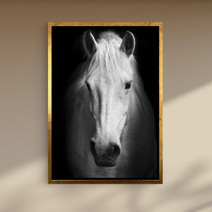 White Horse Canvas Wall Art | Elegant Black And White Horse Portrait – Minimalist Equestrian Decor For Farmhouse Or Modern Interiors
