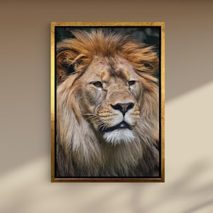 Art mural en toile portrait de lion majestueux | Impression animalier puissant roi de la jungle pour décoration de bureau à domicile - oeuvre d&#39;art animalière royale avec crinière dorée