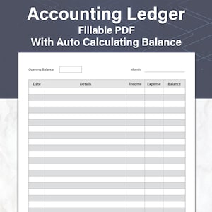 Accounting Ledger, Fillable and Printable Ledger, Money Tracker, Ideal For Your Small Business Bookkeeping, With Alternating Rows
