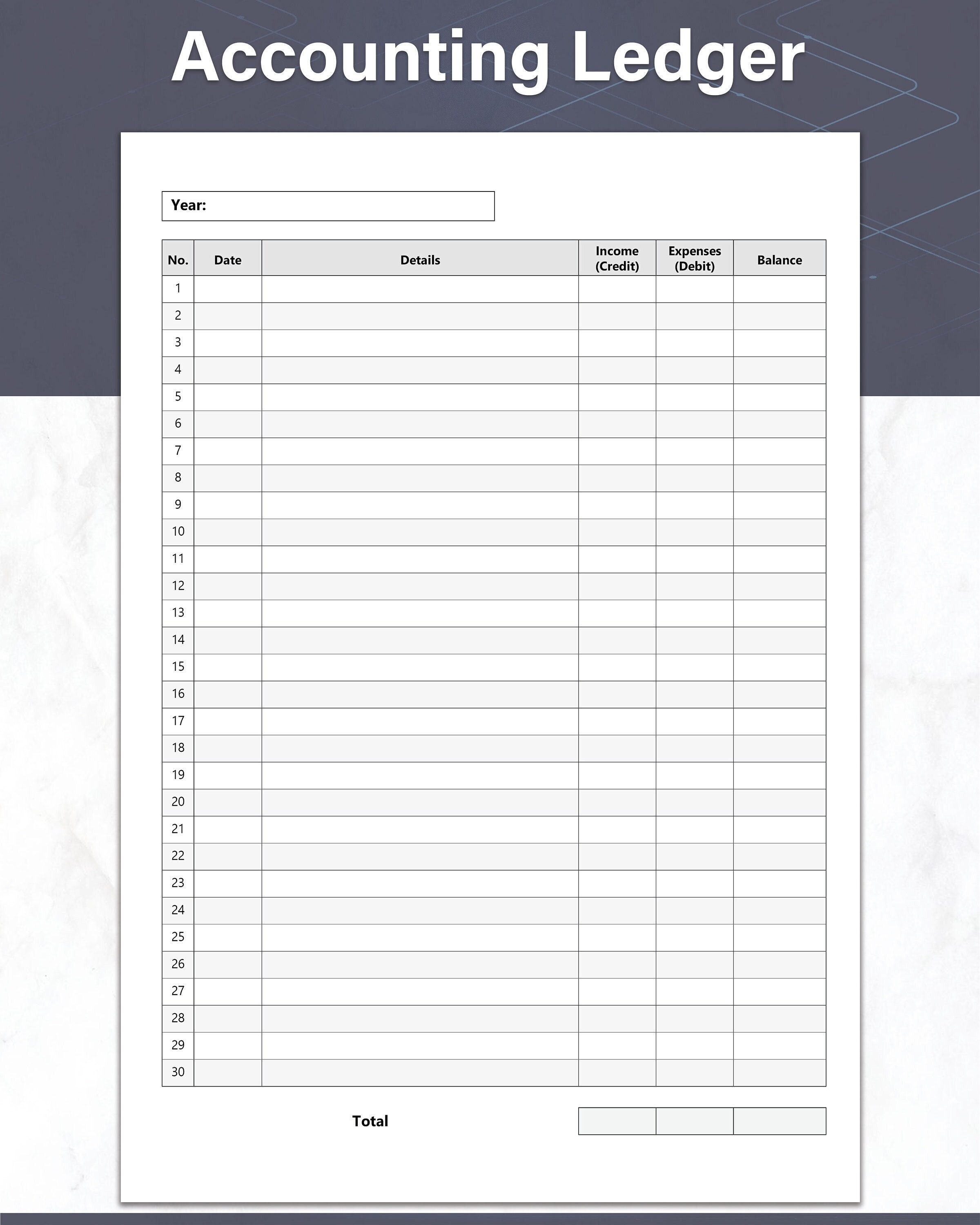 Yearly Accounting Ledger Printable Ledger Sheet Money Tracker Ideal