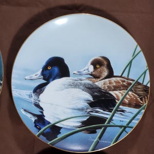 May include: A blue and white porcelain plate with a gold rim features a painting of two ducks in a pond. The ducks are a male and female pair of lesser scaup. The plate is signed "Jean Anderson".