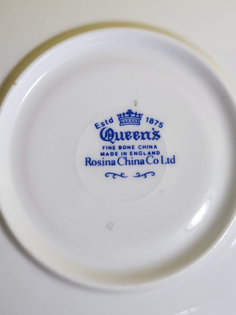 Rosina China Co Queen's Fine Bone China Teacup and Saucer Set Featuring a Violet Design, Made in