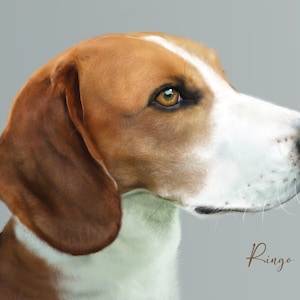 Pet portrait / Realistic pet drawing / Digital / Realistic pet portrait in digital /Painting