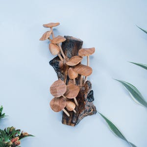 Mushroom Wall Decor | Rustic Fungi Art | Handmade Wooden Wall Hanging | Mushroom Wood Carving for Christmas Gift