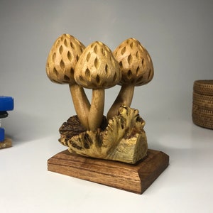 Mushroom on Parasite Wood, Mushroom Wood Carving, Wooden Sculpture, Unique Mushroom, Tabletop Decor,  Mothers Day Gift, Gift for Her
