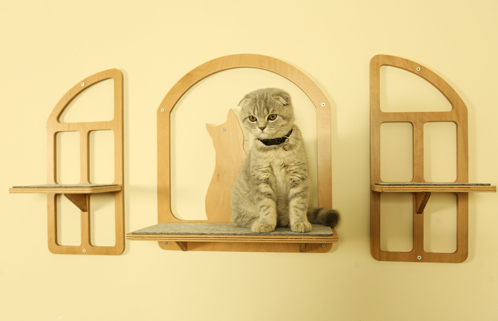 Wooden Cat Wall Bed With Unique Window Design Modern Cat Wall Etsy