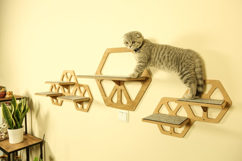 Hexagon Wooden Cat Wall Shelf 6 Pcs Mounted Cat Shelf Etsy