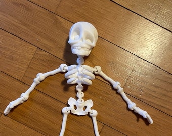 Funny articulated skeleton