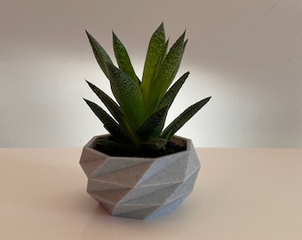 Flower pot low poly