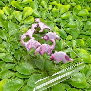 May include: A clear phone case with several pink and purple dinosaur-shaped embellishments. The dinosaurs have striped and solid patterns. The case is resting on a bed of green leaves.