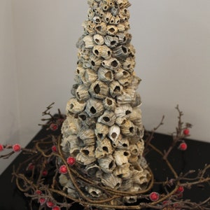 Puede incluir: Una decoración de árbol de Navidad en forma de cono hecha de conchas beige y grises. El árbol está decorado con una guirnalda de ramas marrones con bayas rojas.