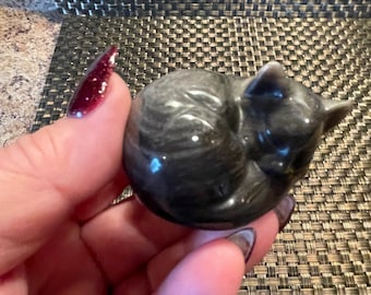 Silver sheen Obsidian sleeping cat