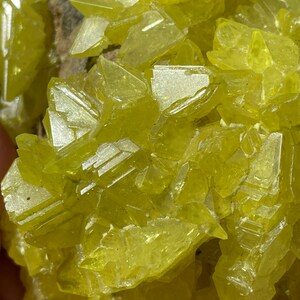 Super Bright Yellow Sulfur Cluster American Seller Fast Shipping Etsy