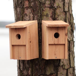 Two Cedar Bluebird Birdhouses