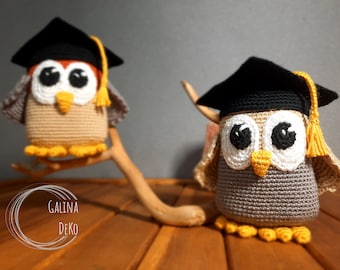 Graduation owl, crochet souvenir, gift.