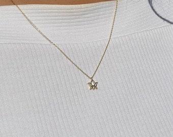 14K Gold Plated Enamel Star Necklace