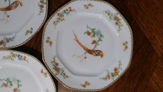 Anitque MZ ALTROHLAU CM-R Golden Pheasant Bird 8