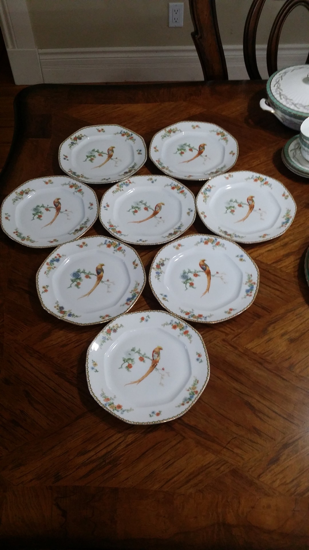 Anitque MZ ALTROHLAU CM-R Golden Pheasant Bird 8