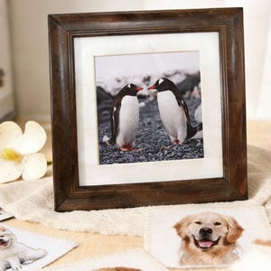 May include: A dark brown wooden picture frame with a white mount, showcasing a photograph of two penguins. The frame rests on a beige cloth, with dog-themed stickers and a white flower in the foreground.