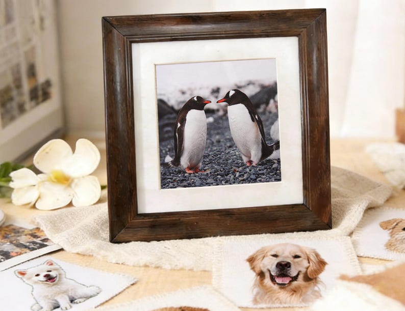 May include: A dark brown wooden picture frame with a white mount, showcasing a photograph of two penguins. The frame rests on a beige cloth, with dog-themed stickers and a white flower in the foreground.