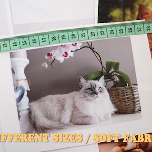 May include: A light grey cat with blue eyes is pictured within a white frame. A green measuring tape is laid across the image. The text "DIFFERENT SIZES / SOFT FABRIC" is displayed in yellow. The cat is near a wicker basket and a white pillar.