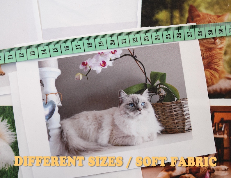 May include: A light grey cat with blue eyes is pictured within a white frame. A green measuring tape is laid across the image. The text "DIFFERENT SIZES / SOFT FABRIC" is displayed in yellow. The cat is near a wicker basket and a white pillar.