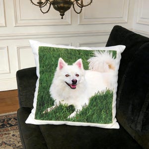 May include: A square cushion with a white dog printed on it, set against a backdrop of green grass. The dog has a fluffy tail and pink ears. The cushion is on a dark green sofa.