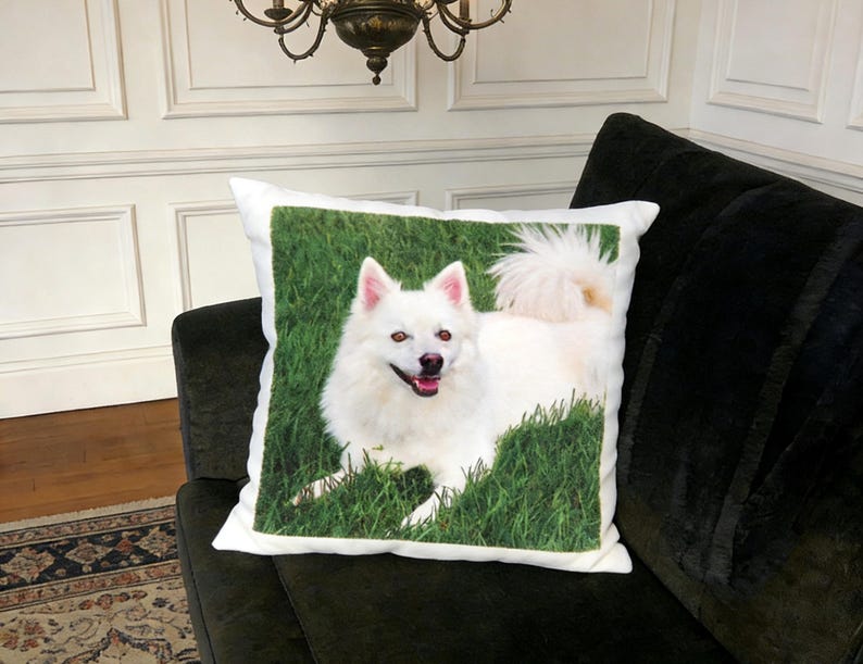 May include: A square cushion with a white dog printed on it, set against a backdrop of green grass. The dog has a fluffy tail and pink ears. The cushion is on a dark green sofa.