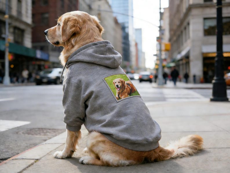 May include: A golden retriever wearing a grey hoodie with a photo of a dog on the back, sitting on a pavement in a city. The dog is facing left, with a blurred city street in the background.
