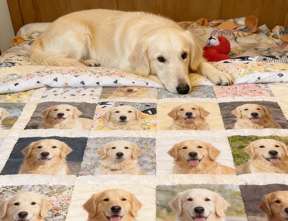 Turn Your Favorite Photos into Fabric – Perfect for Memory Quilts & Handmade Keepsakes, Creative Projects, Pet Lover Gift