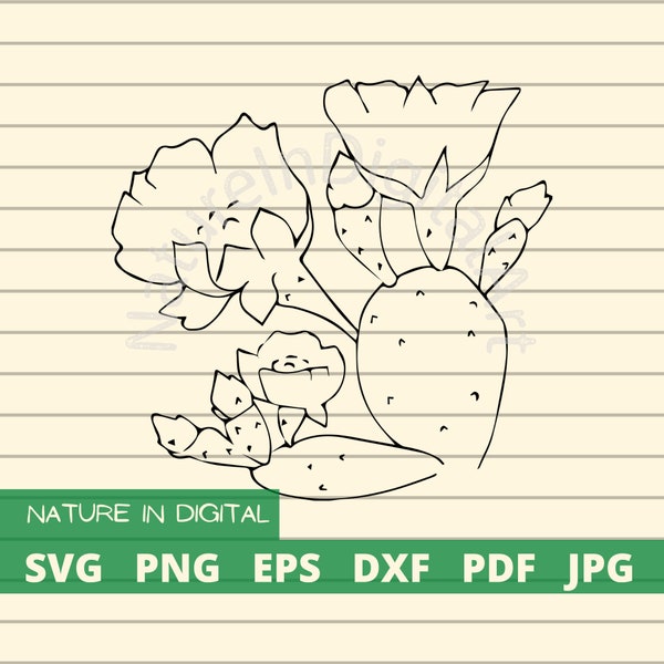 Prickly Pear Cactus Svg, Hand Drawn Cactus Digital Download, Cactus Clipart Cut File