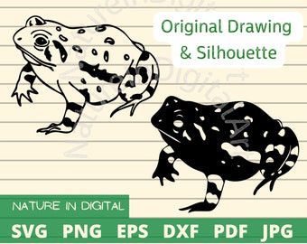 American Toad Bundle Cut Files, Hand Drawn Toad and Toad Silhouette, SVG, PNG, JPG, Toad Logos, Herpetology Gift