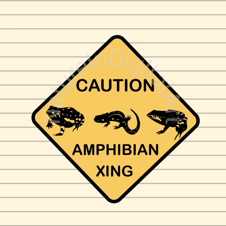 Amphibian Crossing Sign SVG Bundle Frogs and Salamander - Etsy