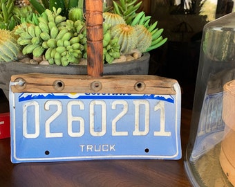 Colorado license plate dust pan