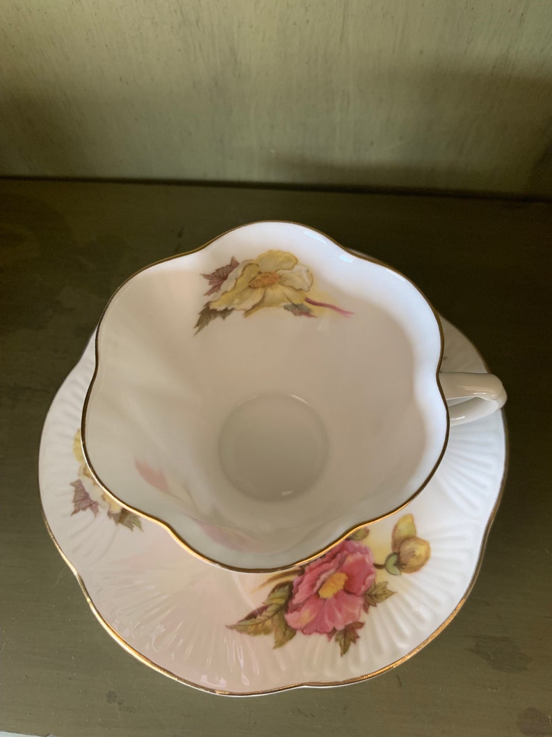 Vintage Shelley Begonia Tea Cup Etsy