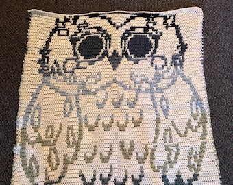 Mosaic Crochet Pattern–Owl–Front Facing–Whole Body–Color Charts–Written Pattern–Instant Digital Download by YarnMosaicsCrochet