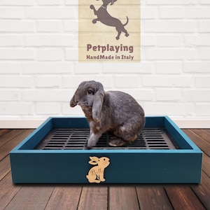Wood litter for rabbits 2025