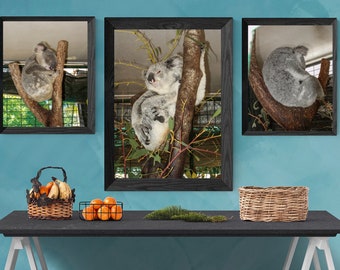 Set of 3, Photographic Panda Wall Art, Nursery Wall Art, Children Wall Art, Digital Download.