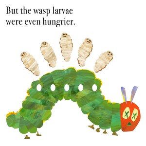 May include: A green caterpillar with a red head and black eyes. The caterpillar has a row of white dots along its back. The caterpillar is surrounded by six white wasp larvae. The text "But the wasp larvae were even hungrier." is above the caterpillar.